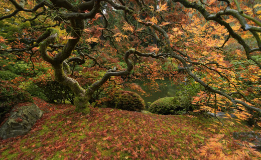 765185 (a): :2042x1250